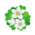 Bacopa