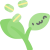 Хлорофилл