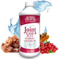 Купить Buried Treasure, Joint Ease Plus, Глюкозамин, хондроитин с МСМ и куркумой, Добавка для поддержки суставов, 496 мл