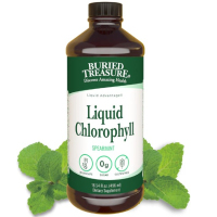 Купить Buried Treasure, Жидкий хлорофилл, Liquid Chlorophyll, 100 мг, мята, 496 мл